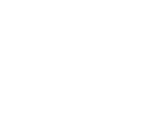 Cisco partner logo