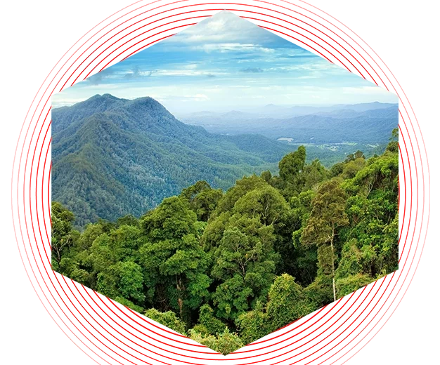 Alt image tag